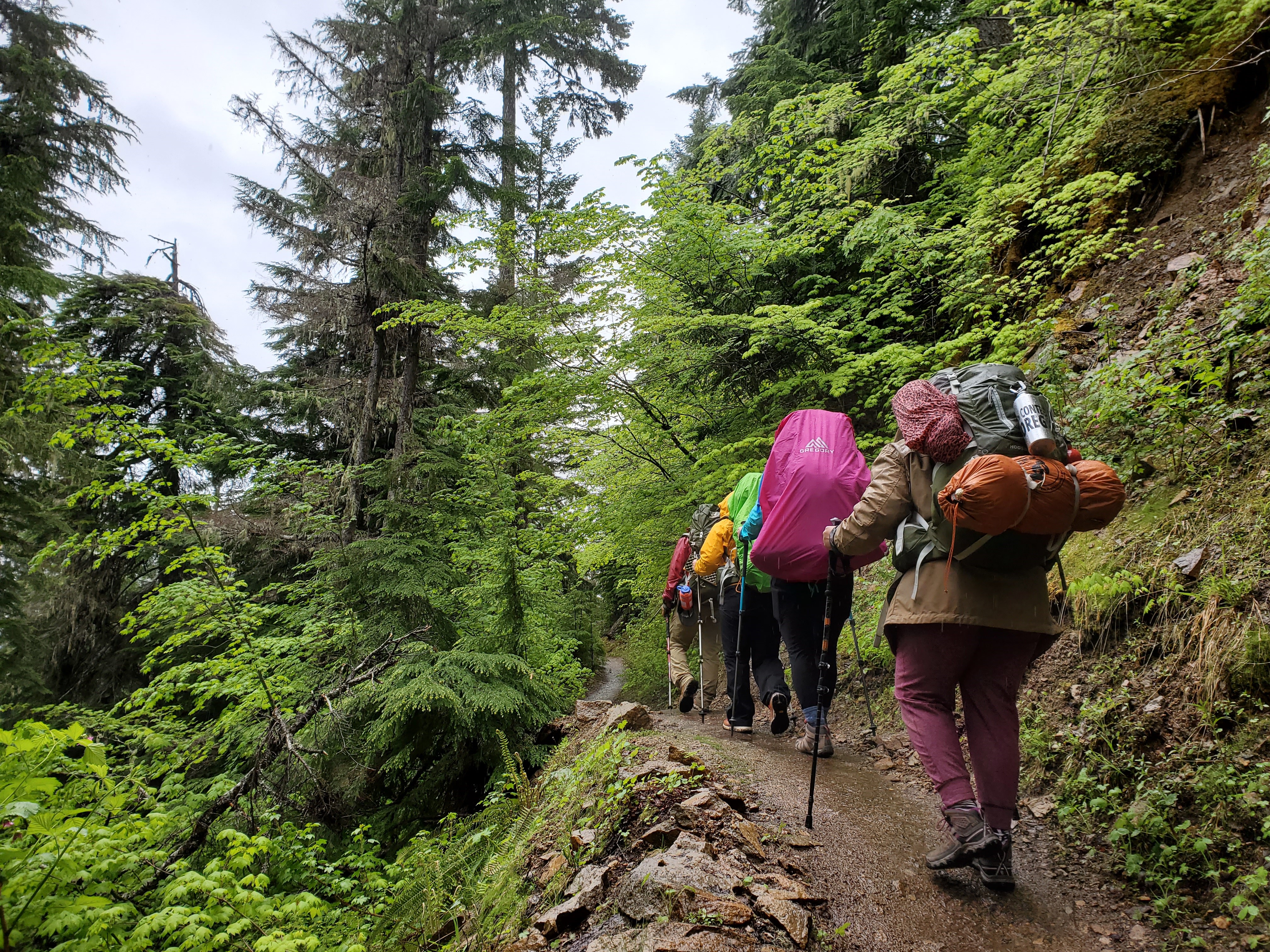 A line of hikers with backpacks walk away from the camera down a wooded trail.